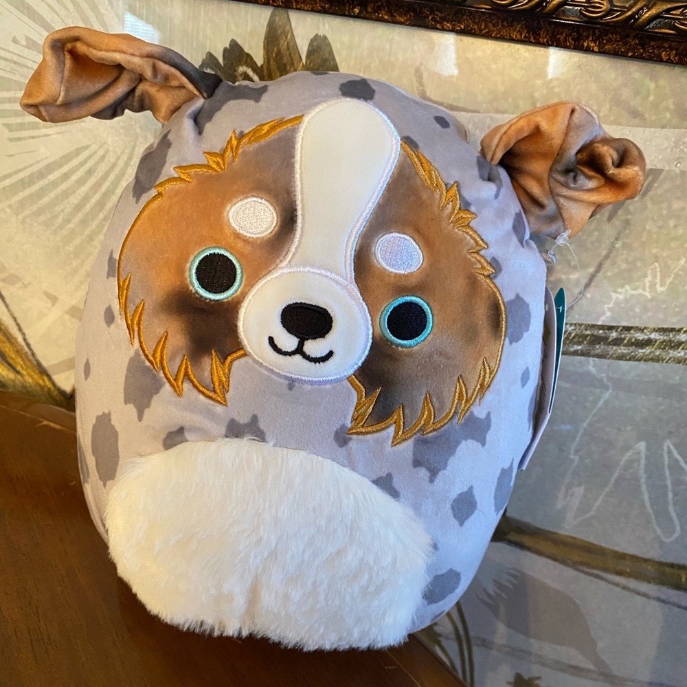 8” raylor the Australian shephard squishmallows